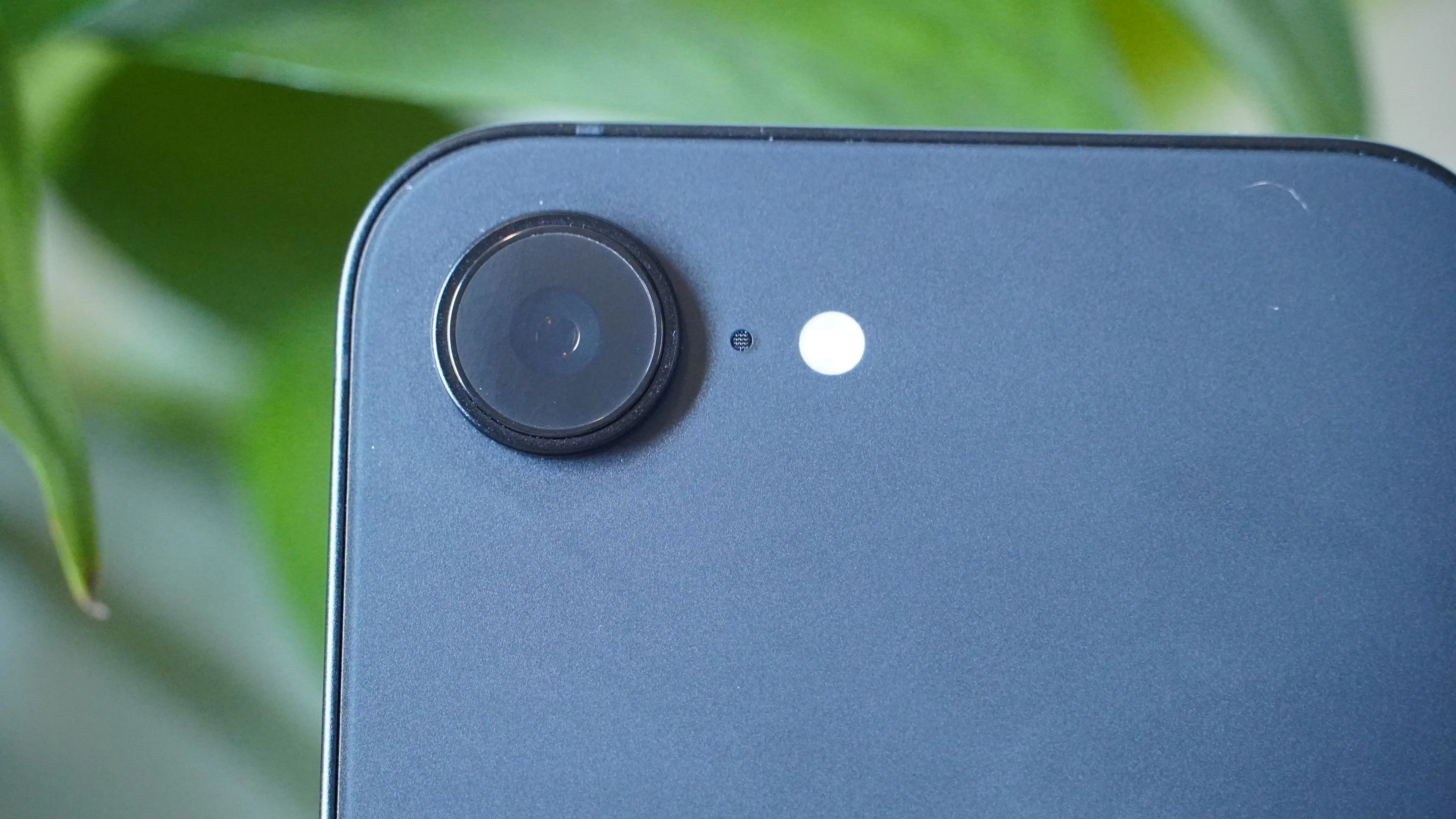 立陶宛铁军,主场对决西,甲豪门,北京单场官网,单场彩票,彩票平台,在线投注,彩票分析