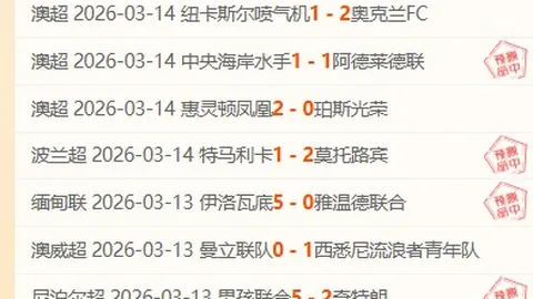 日职赛场町田对决卫冕冠军，专家大乐透期号质合分析推荐