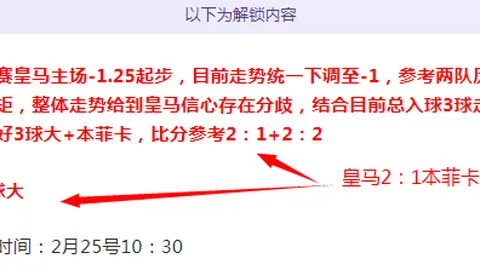 “龙城风云对决：猛龙激战尼克斯，NBA精彩数据揭秘大揭秘！”